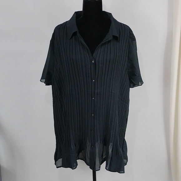 Only Necessities Sheer Pleated Button Top - Picture 1 of 9
